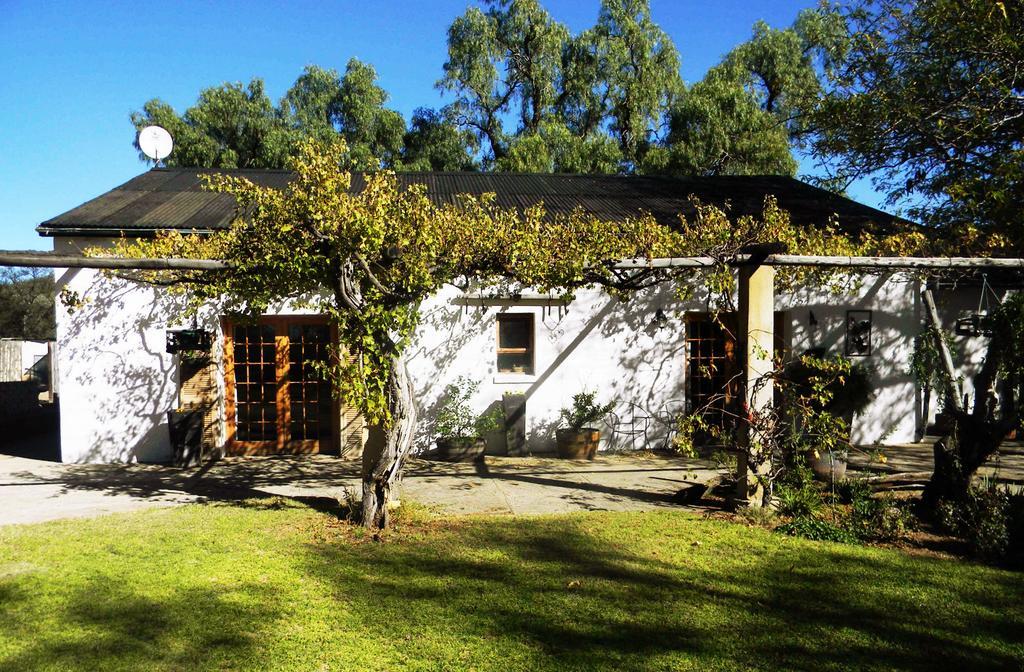 Hotel Witkrans Guest Farm Middelburg  Exteriér fotografie